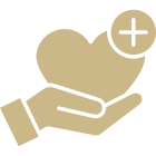 Hand holding heart with plus sign